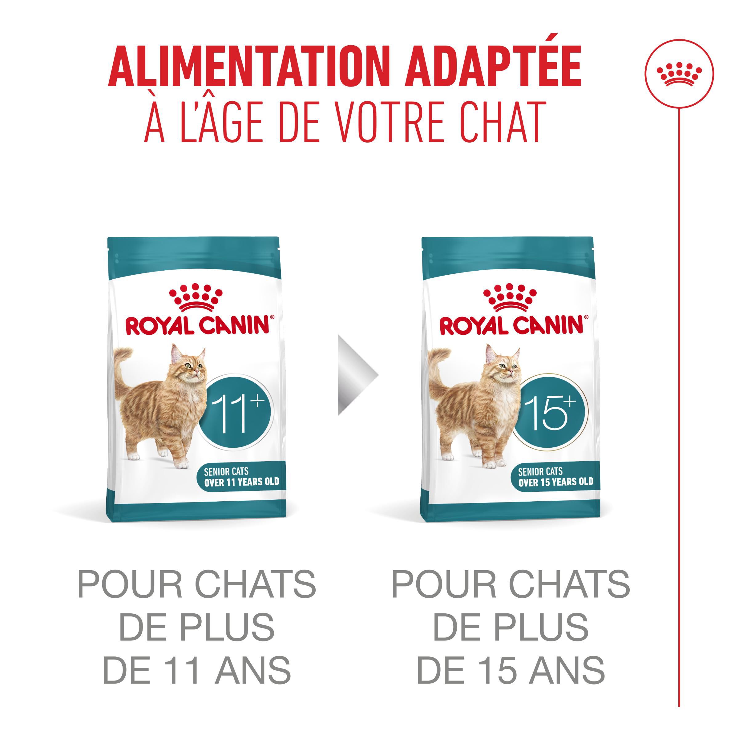 Royal Canin - Croquettes Ageing Sterilised 11+ pour Chats Senior St&eacute;rilis&eacute;s - 400g Image num&eacute;ro 7