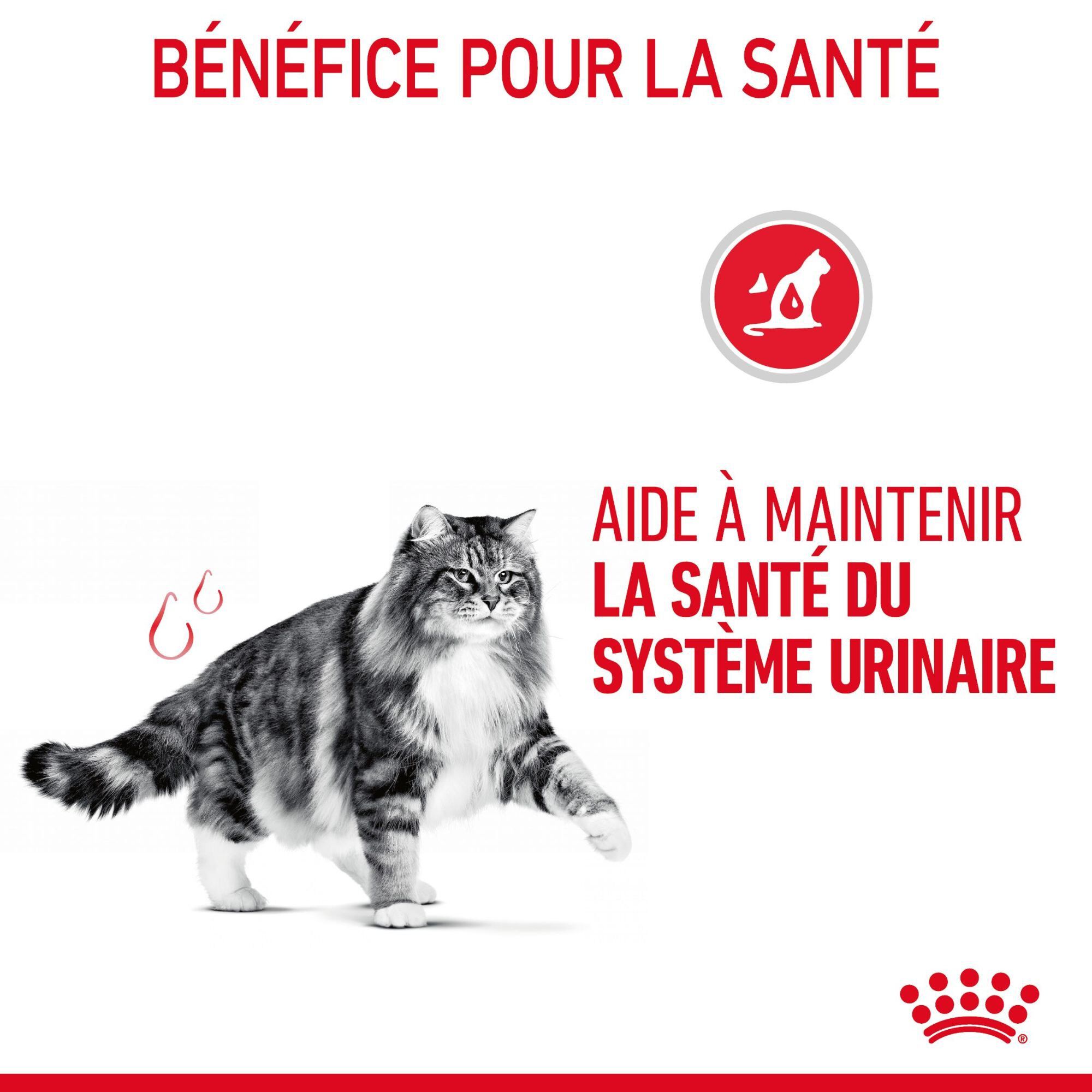 ROYAL CANIN -  SACHET FRAICHEUR URINARY EN GELEE CHAT ADULTE SANTE URINAIRE - 12x85g Image num&eacute;ro 5