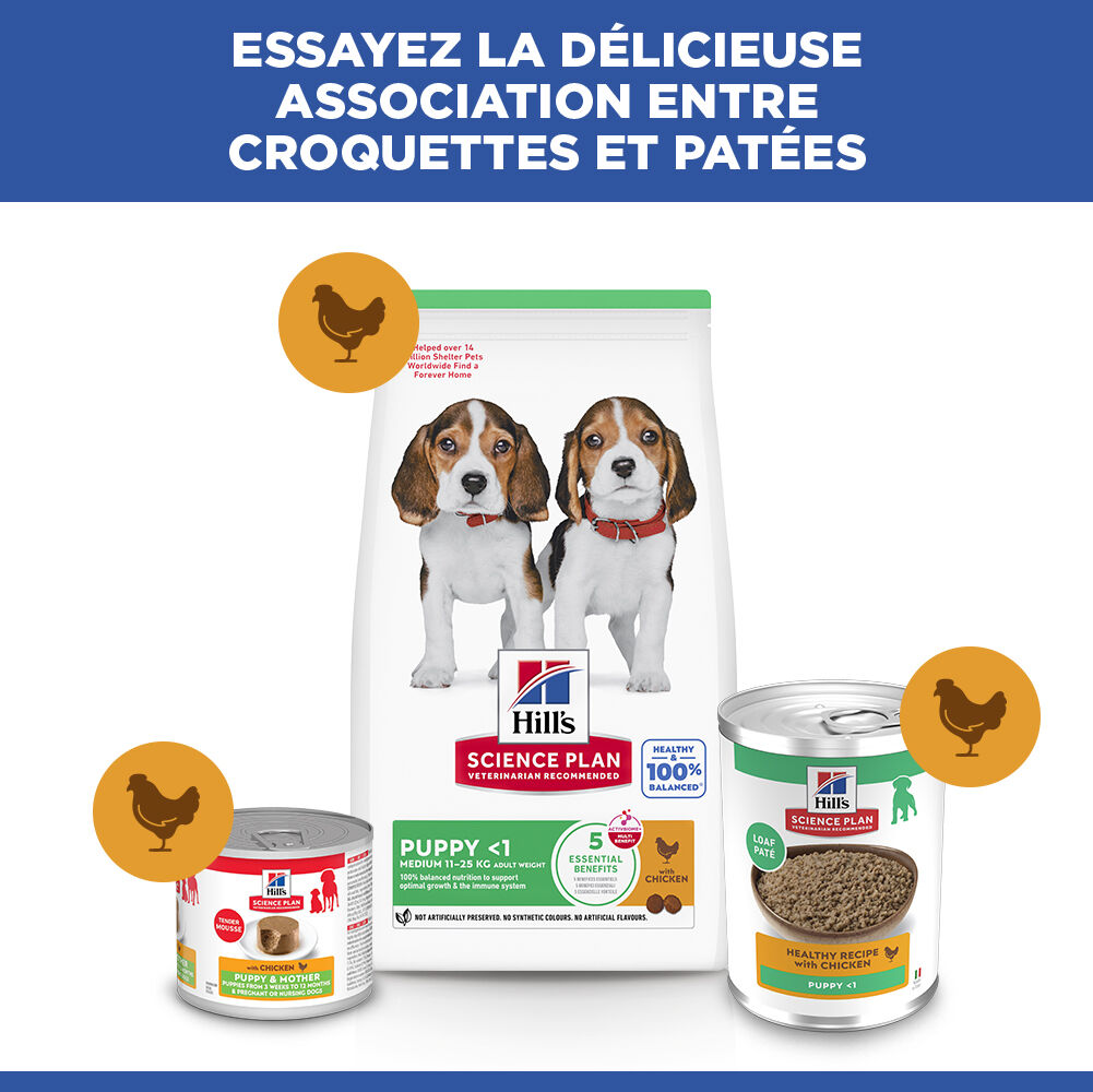 Hill's Science Plan - Puppy Boite Pour Chiot Poulet  - 370g Image num&eacute;ro 9