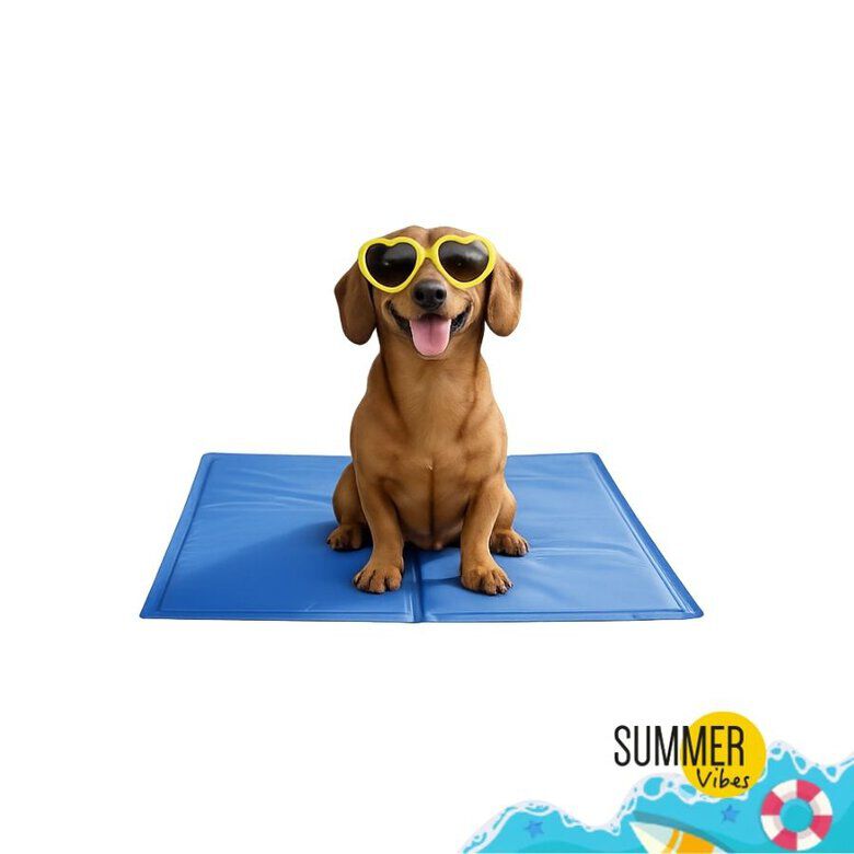Summer Vibes -Tapis Rafraichissant Bleu pour Chiens - S Image num&eacute;ro 1