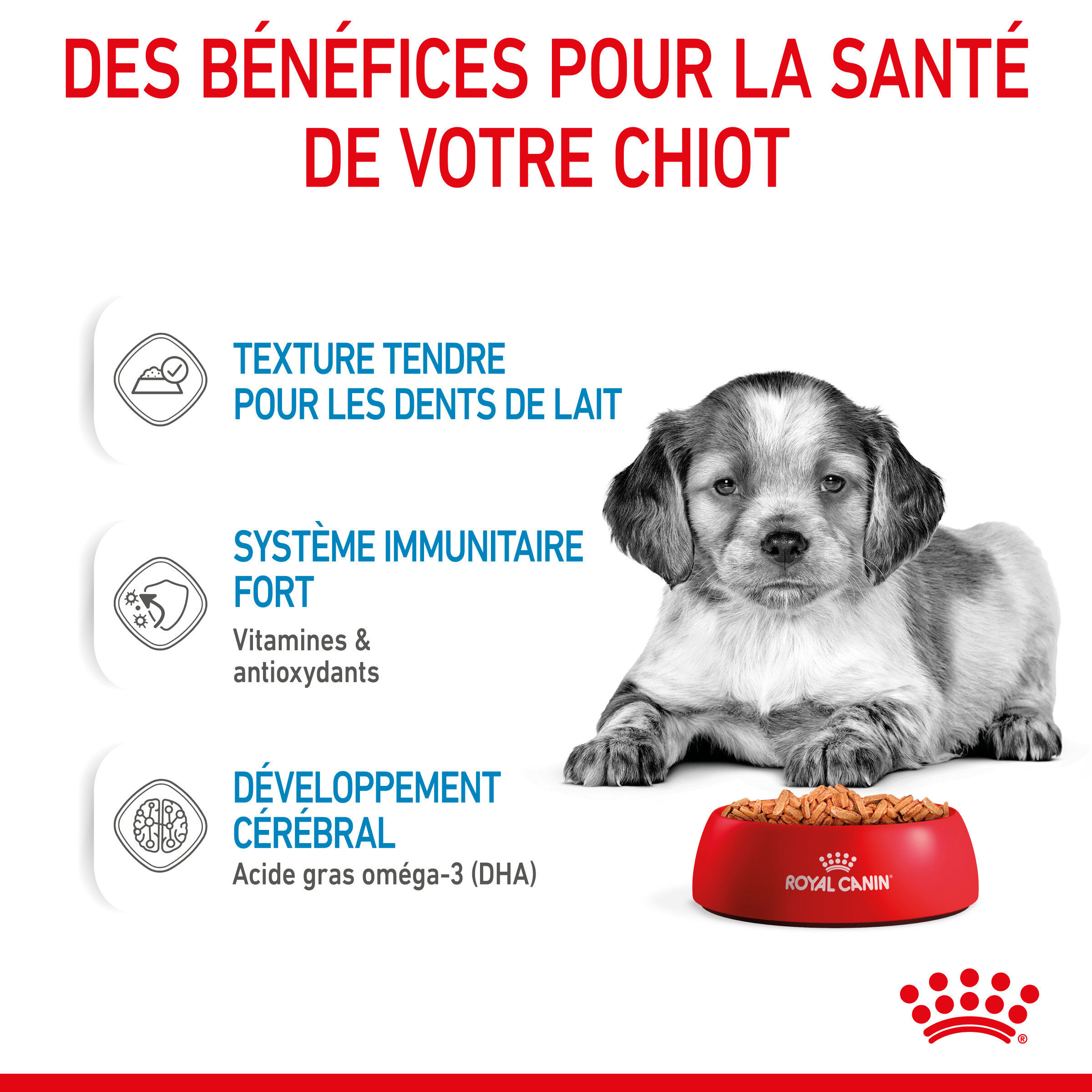 Royal Canin - Sachets Puppy Medium en Sauce pour Chiot - 10x140g Image num&eacute;ro 3