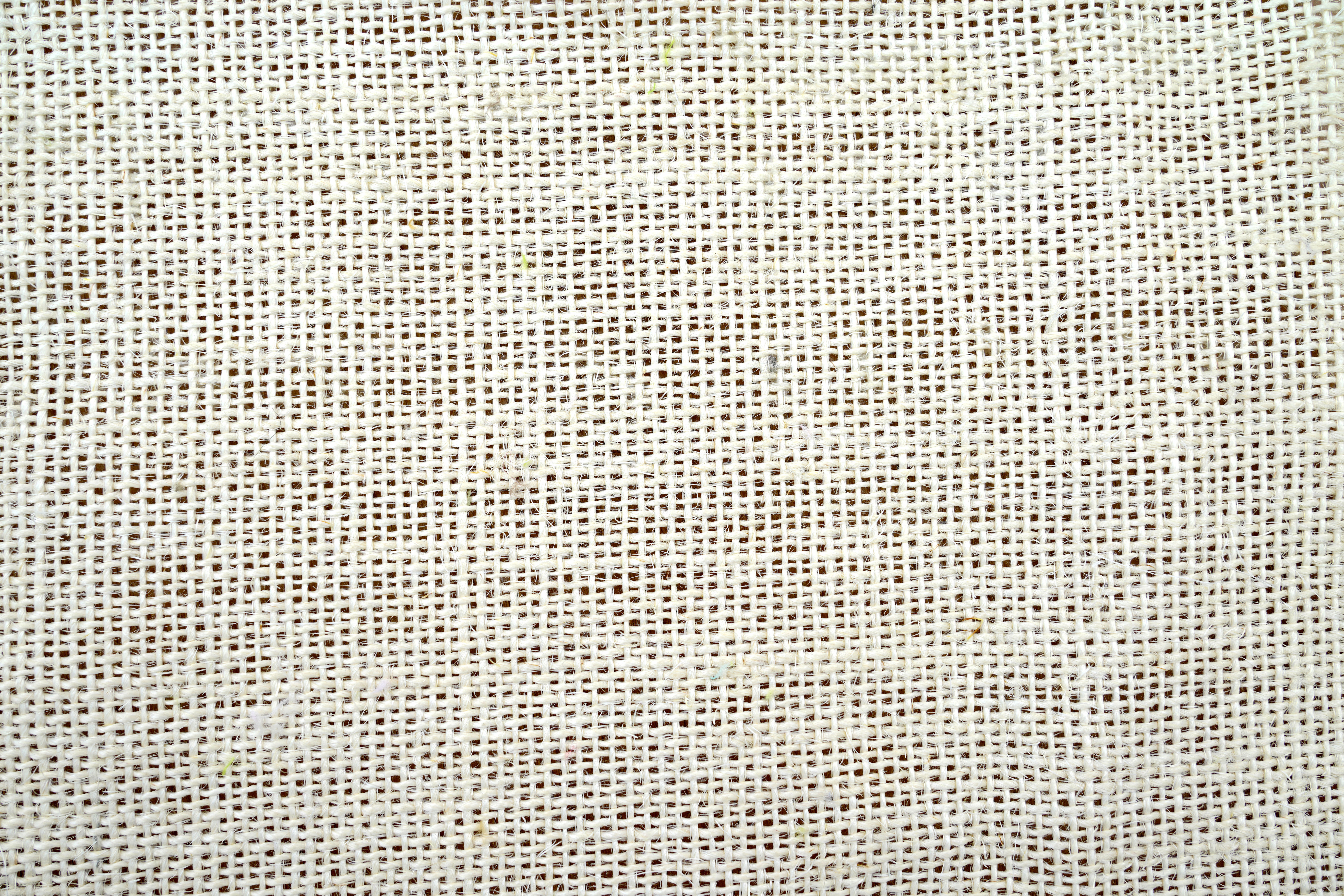 Leeby - Arbre &agrave; Chat Voltaire - 48x40x95cm Image num&eacute;ro 6