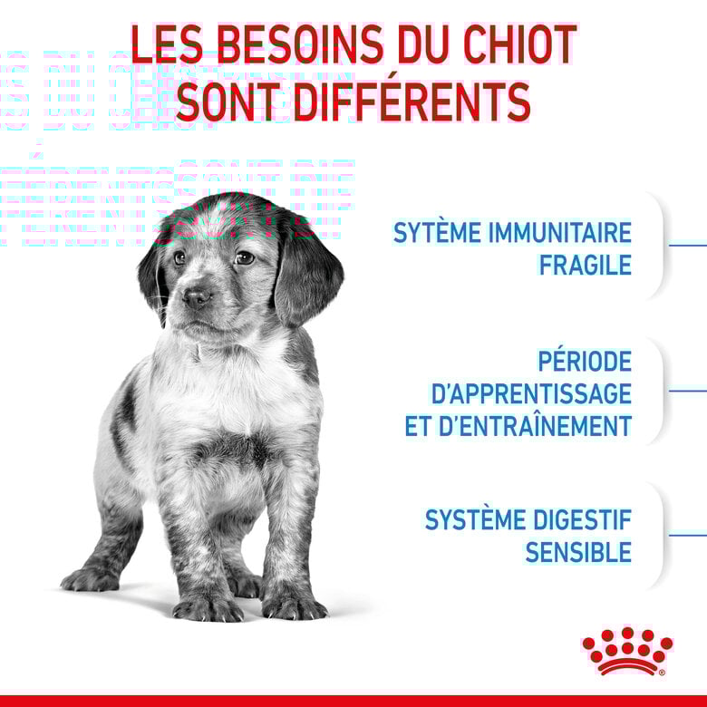 Royal Canin - Croquettes Medium Puppy pour Chiot - 15Kg Image numéro 3 Royal Canin - Croquettes Medium Puppy pour Chiot - 15Kg Image numéro 3