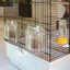 Ferplast - Cage Canto pour Oiseaux Indicateur image numéro 5