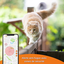 Weenect - Traceur GPS XS Edition 2023 pour Chats - Blanc Indicateur image numéro 8