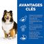 Hill's Science Plan - Adult Sensitive Stomach & Skin Croquettes Pour Chien Au Poulet  - 12kg Indicateur image numéro 4