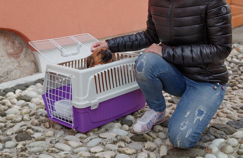 Ferplast - Panier de Transport Atlas 20 Open Image numéro 3 Ferplast - Panier de Transport Atlas 20 Open Image numéro 3