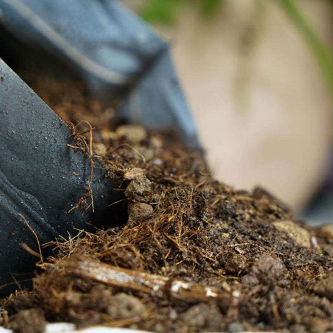 Eublepharis - Sol Nutritif Bio-Active Premium Tropical Soil - 10Kg Image num&eacute;ro 10