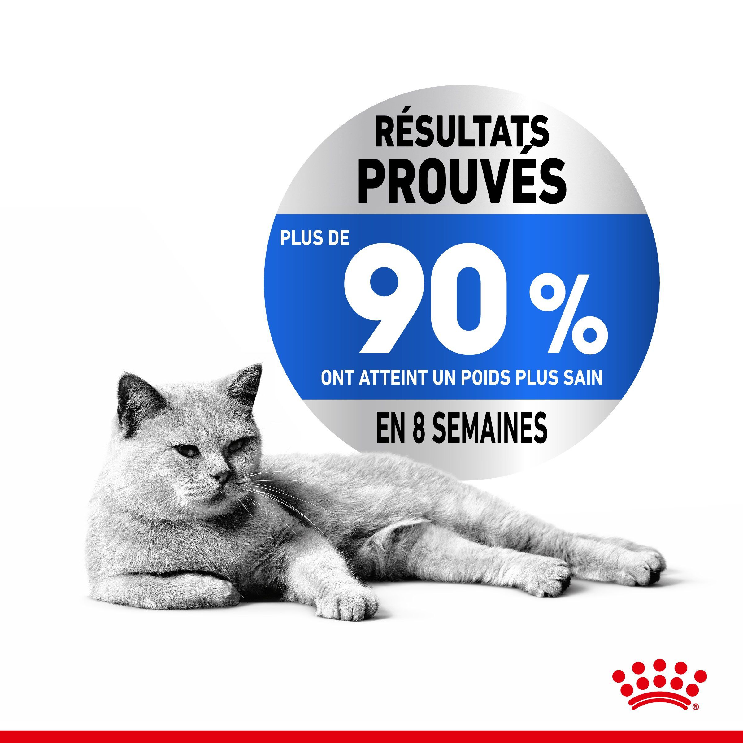 Royal Canin - Croquettes Light Weight Care pour Chat - 400g Image num&eacute;ro 4