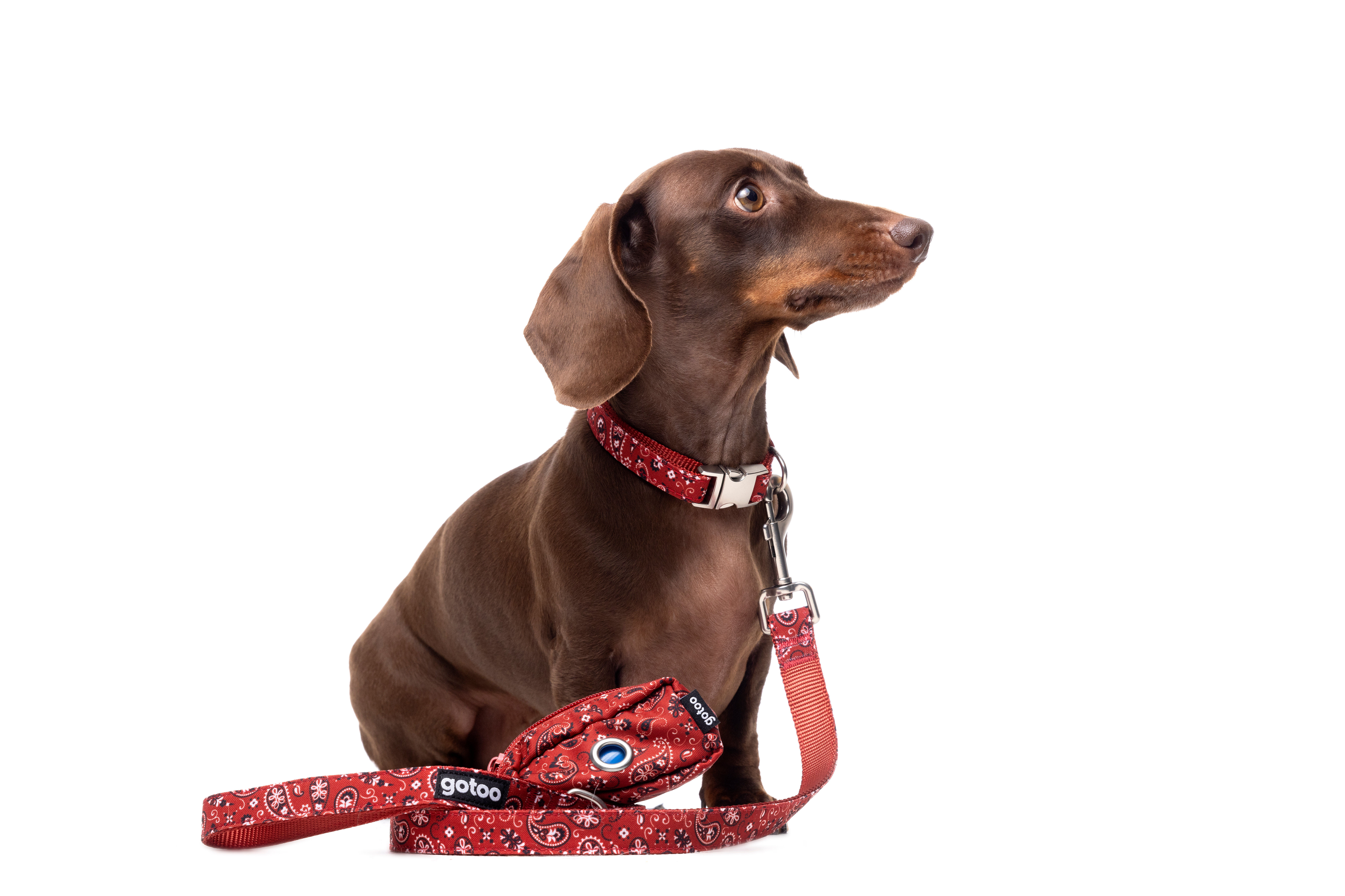 Gotoo - Collier en Paisley Rouge pour chien - XS Image num&eacute;ro 5