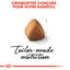 Royal Canin - Croquettes Ragdoll Adult pour Chat - 2Kg Indicateur image numéro 3