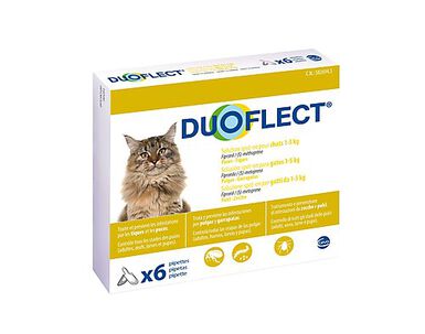 Duoflect - Pipettes Antiparasitaire de 1 à 5Kg pour Chat - x6