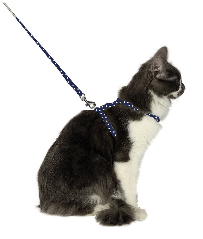 Bobby - Harnais + Laisse Pretty pour Chat - Marine image number null