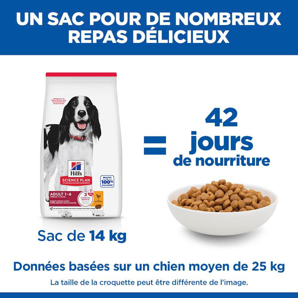 Hill's Science Plan - Croquettes Adult  Medium Au Poulet pour Chiens -  2,5kg Image num&eacute;ro 8