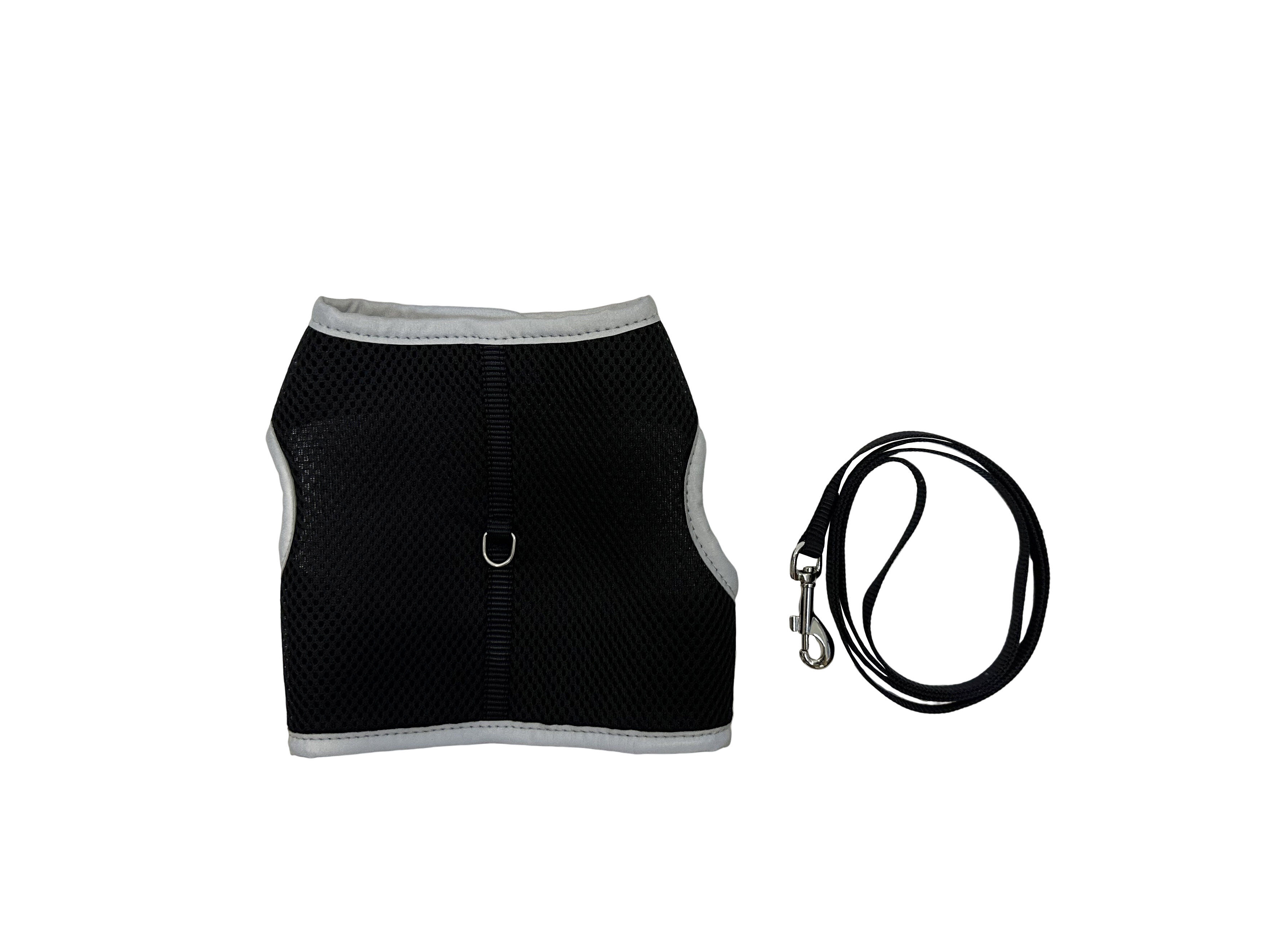 Gotoo - Set Essentiels pour Chat - 24-42 cm Image num&eacute;ro 1