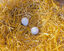 Kerbl - Œufs factices Argile Blanc pour Poules Pondeuses - x2 Indicateur image numéro 2