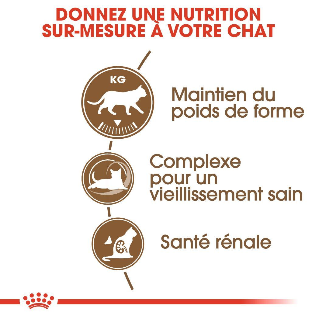 Royal Canin - Croquettes Senior Sterilised 12+ pour Chat Senior - 4Kg Image num&eacute;ro 4