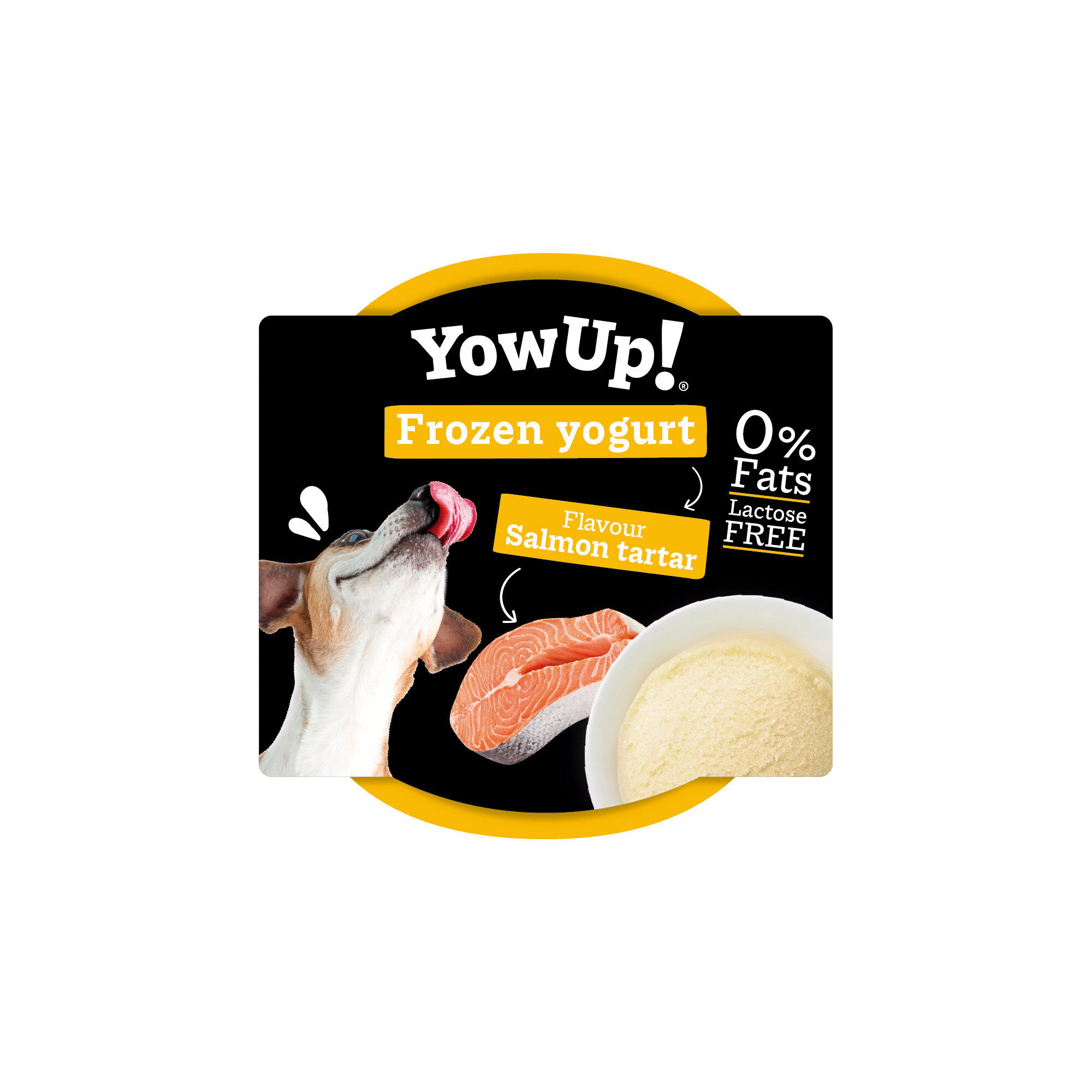 Yowup -  Yaourt Glac&eacute; au Tartare Saumon pour Chiens - 110g Image num&eacute;ro 1
