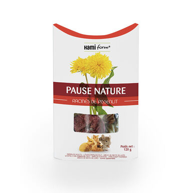 Hamiform - Pause Nature Racines de Pissenlit pour Rongeur - 120g