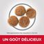 Hill's Science Plan - Adult Croquettes Pour Chien Au Poulet - 14kg Indicateur image numéro 2