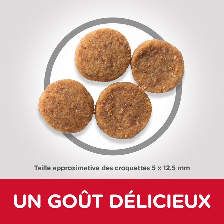 Hill's Science Plan - Adult Croquettes Pour Chien Au Poulet - 14kg Image numéro 2 Hill's Science Plan - Adult Croquettes Pour Chien Au Poulet - 14kg Image numéro 2