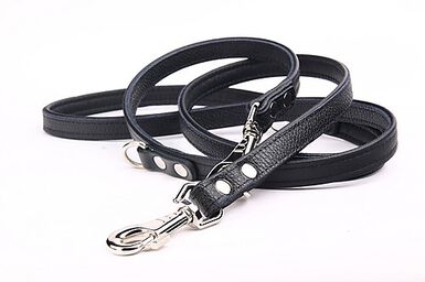 Yogipet - Laisse Ajustable 1,6/220cm pour Chien - Noir