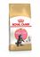 Royal Canin - Croquettes Maine Coon pour Chaton - 4Kg Indicateur image numéro 2