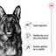 Royal Canin - Croquettes Maxi Adulte 5+ pour Chien Adulte - 15Kg Indicateur image numéro 3