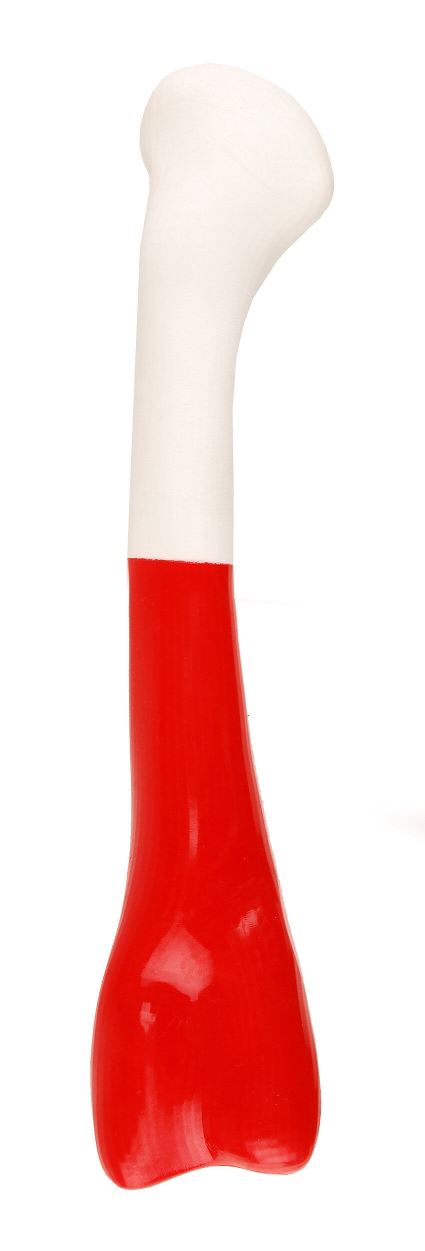 Anka - Jouet Os En Tpr Bicolore M pour Chien - 23cm Image num&eacute;ro 1