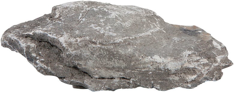 Sera - Décoration Rock Gray Mountain pour Aquarium - S/M Image numéro 1 Sera - Décoration Rock Gray Mountain pour Aquarium - S/M Image numéro 1