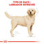 Royal Canin - Croquettes Labrador Adult pour Chiens de plus de 15 Mois - 3Kg Indicateur image numéro 2