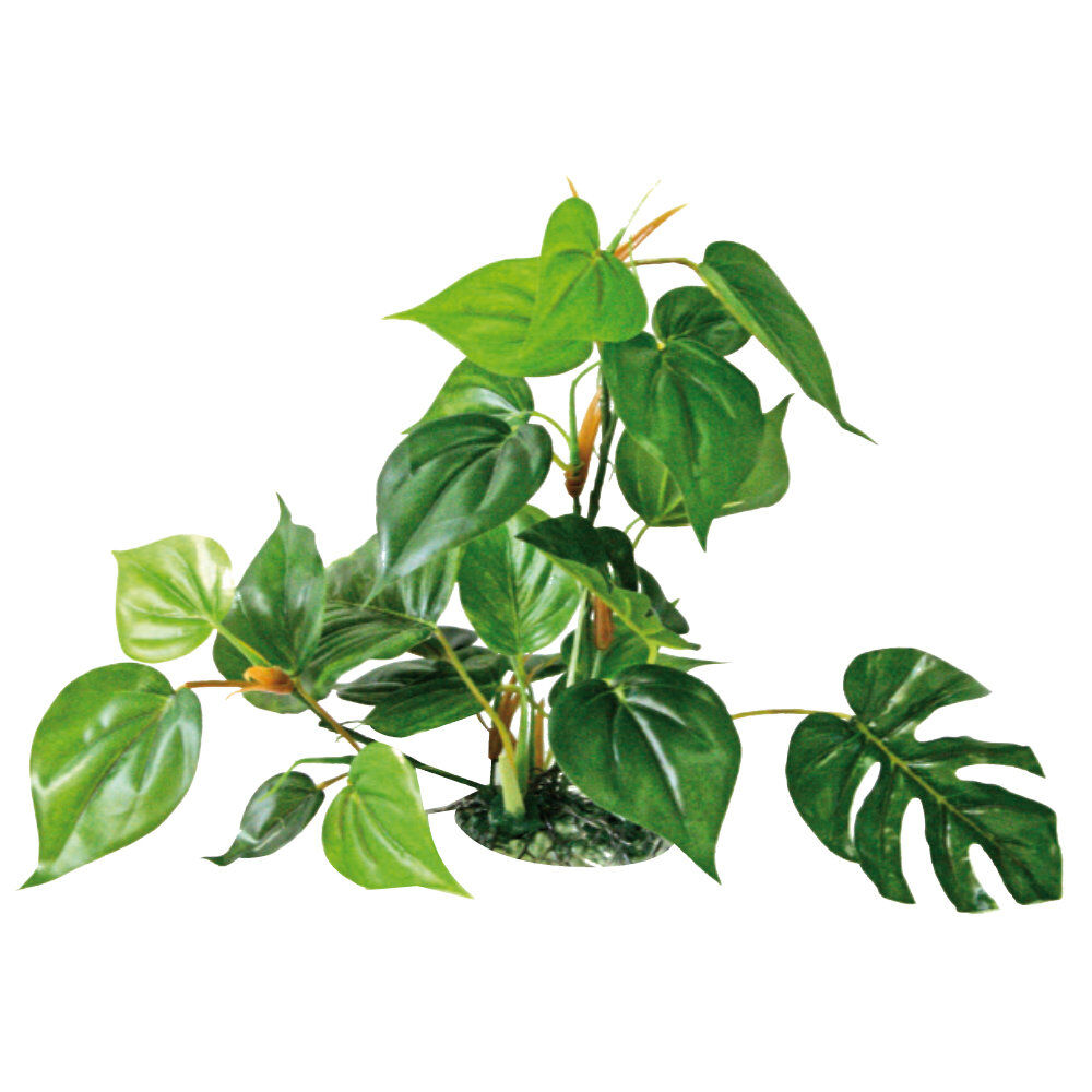Amtra - D&eacute;coration Plant Replica Anubias - 30cm Image num&eacute;ro 1