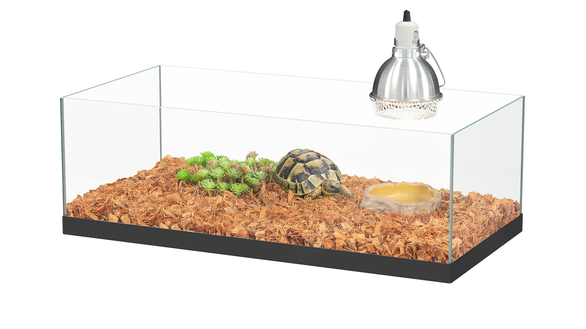 Aquadisio - Kit Tortue Terrestre - 60x30x20cm Image num&eacute;ro 1