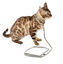Bobby - Collier Nala Gris pour Chat - 30cm Indicateur image numéro 2