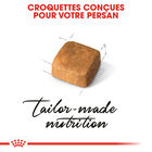 Royal Canin - Croquettes Persian Kitten pour Chatons - 2Kg image number null