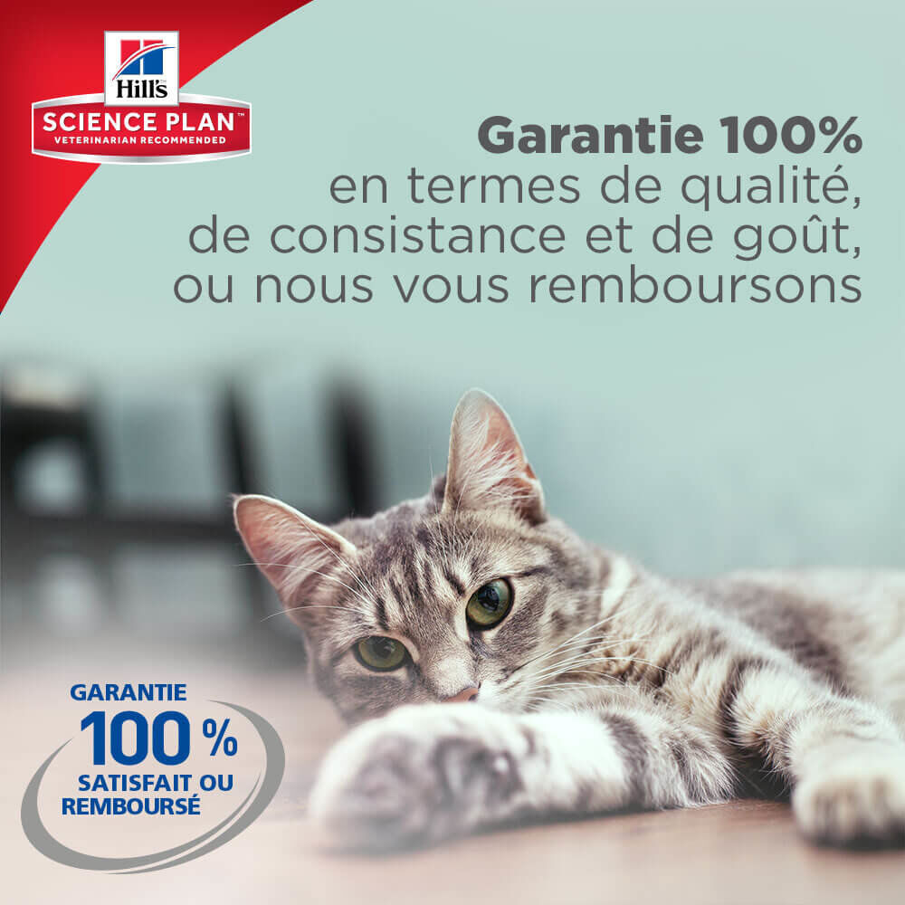 Hill's Science Plan - Croquettes Light Adult Poulet pour Chat - 5Kg Image num&eacute;ro 5