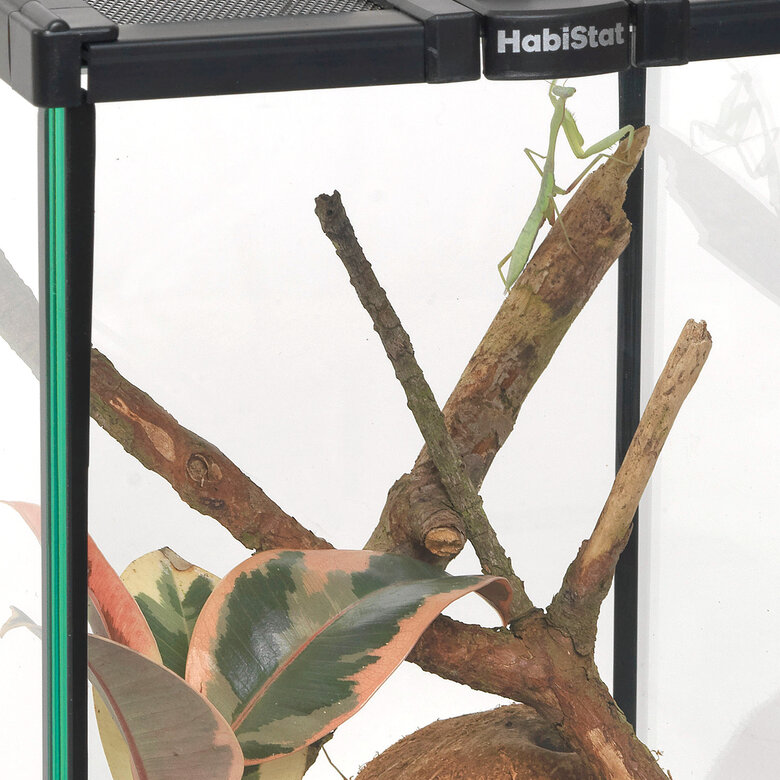 Habistat - Kit Complet HabiStat Invertebrate Starter Maintenance - Réptiles Image numéro 7 Habistat - Kit Complet HabiStat Invertebrate Starter Maintenance - Réptiles Image numéro 7