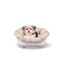 Ferplast - Corbeille Sofa Throne 6 - Blanc Indicateur image numéro 1