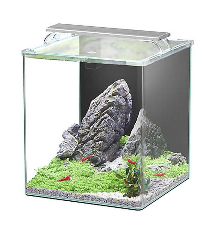 Aquatlantis - Kit Kubus Curve 44L Equipé Image numéro 1 Aquatlantis - Kit Kubus Curve 44L Equipé Image numéro 1