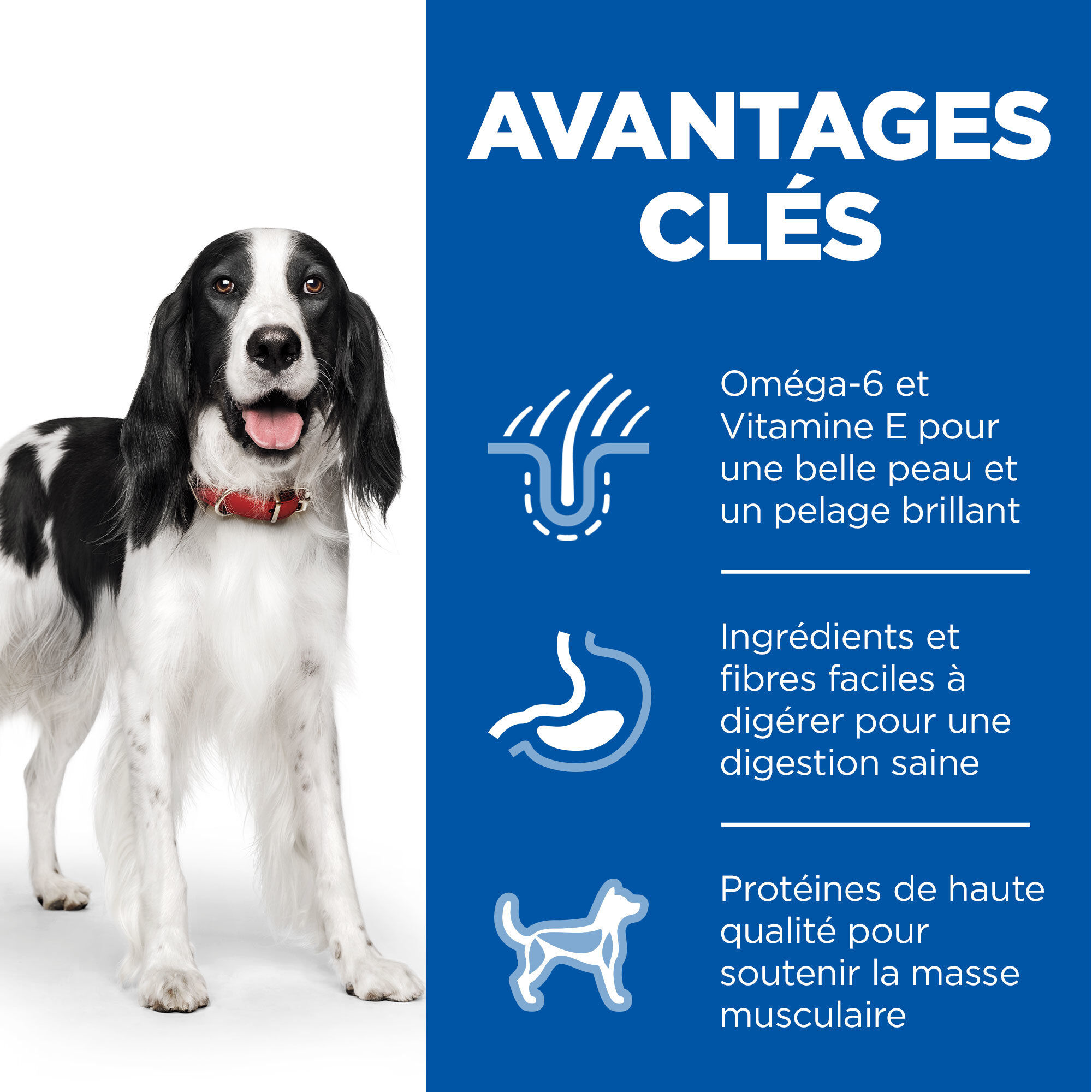 Hill's Science Plan - Adult Boite Pour Chien A La Dinde  - 370g Image num&eacute;ro 3