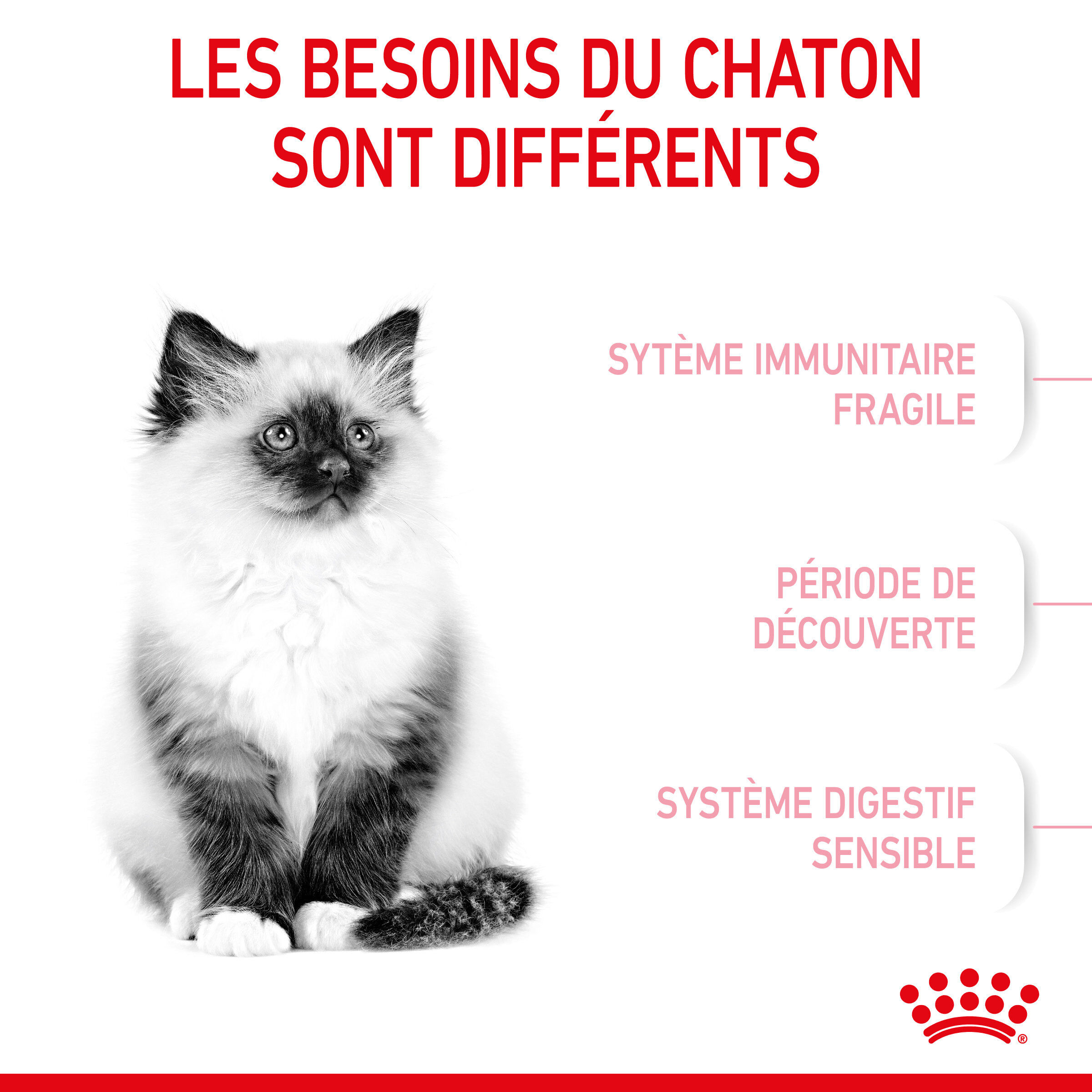 Royal Canin - Croquettes Kitten pour Chaton - 400g Image num&eacute;ro 3