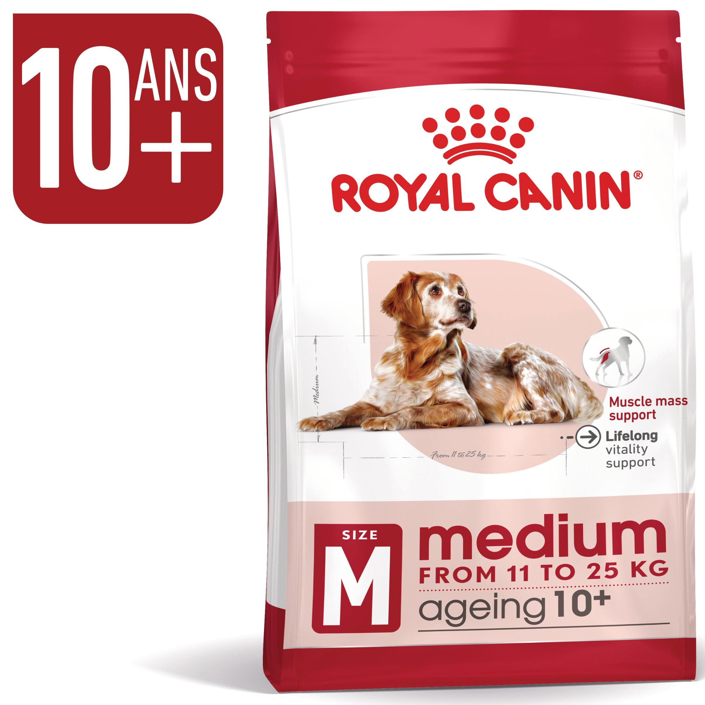 Royal Canin - Croquettes Medium Ageing 10+ pour Chien Senior - 3Kg Image num&eacute;ro 2