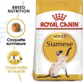 Royal Canin - Croquettes Siamese Adult Pour Chat