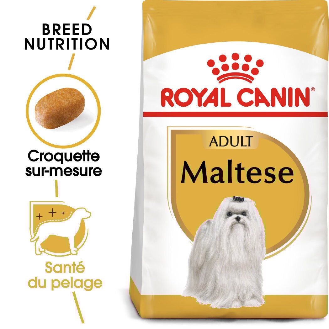 Royal Canin - Croquettes Maltese Adult Bichon Maltais pour Chiens - 1,5Kg Image num&eacute;ro 1