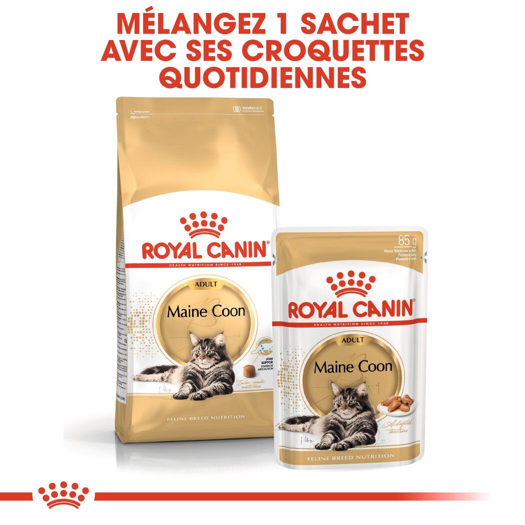 Royal Canin - Croquettes Maine Coon pour Chat Adulte - 10Kg Image num&eacute;ro 6