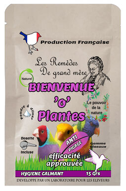 Animalgeo - BIENVENUE'O'PLANTES OISEAUX -SACHET-15 Grs