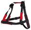 Trixie - Harnais Entraînement Lead'n'Walk Soft pour Chiens - M/L Indicateur image numéro 1
