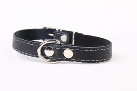 Yogipet - Collier Cuir et Nylon pour Chien Noir