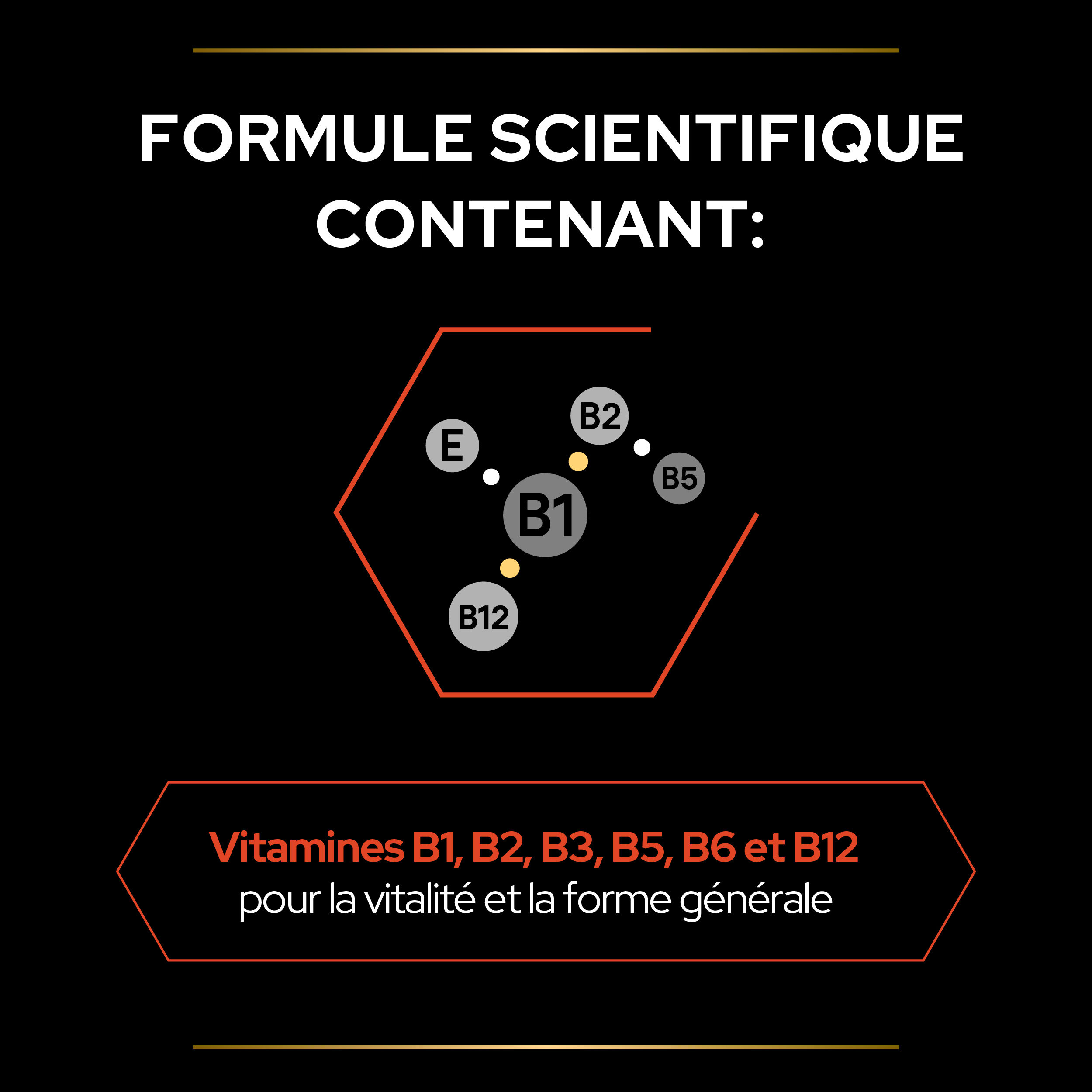Pro Plan - Aliment Compl&eacute;mentaire Multivitamins+  en Poudre pour Chats - 60g Image num&eacute;ro 4