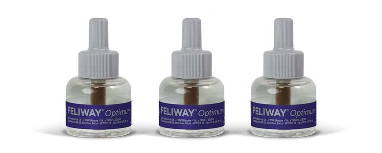 Ceva - Feliway Optimum Pack 3 Recharges pour Chat - 48ml Image numéro 2 Ceva - Feliway Optimum Pack 3 Recharges pour Chat - 48ml Image numéro 2